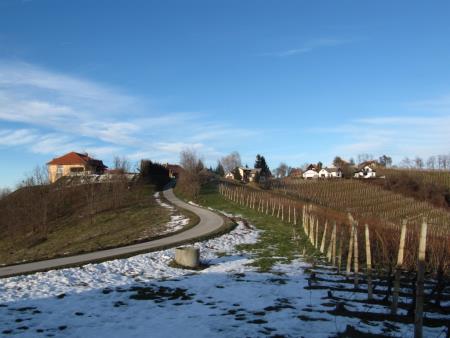Pohod Živimo zdravo, februar 2013 14